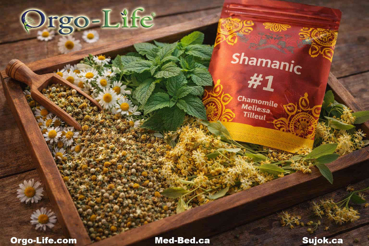 UL-20104B – Shamanic Tea No.1