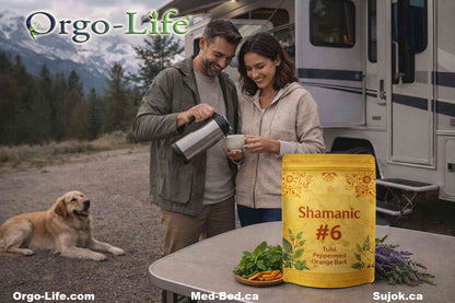 UL-20109M – Thé chamanique No 6 Orgo-Life®