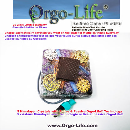 UL-3625 Orgo-Life®  – Himalayan Crystal Plate: Orgo-Life Technology, Portable Travel Size