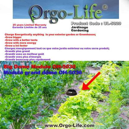 UL-5020 Orgo-Life® Soil Feeder Kit: Dome Push Technology for Gardening (7-Piece)