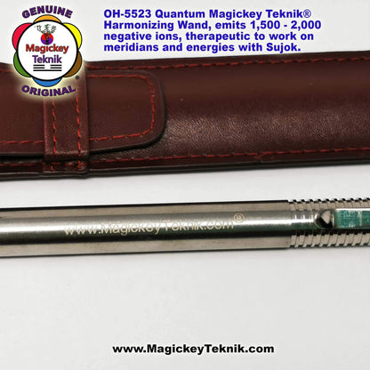 OH-5523 – Bâton manuel en acier inoxydable