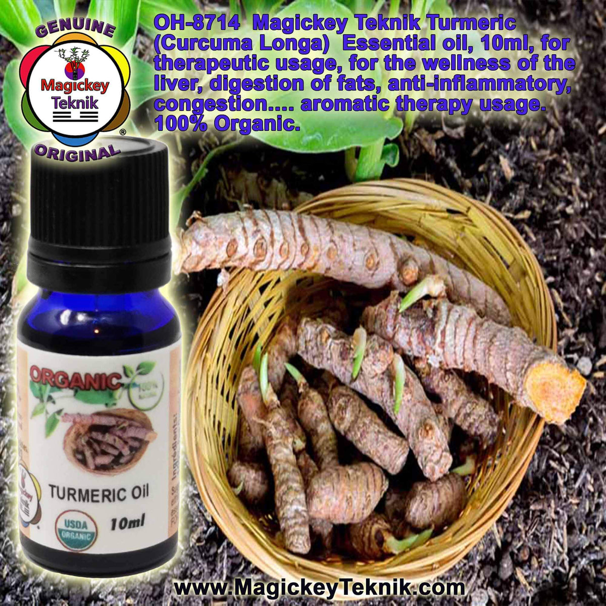 OH-8714 – Turmeric Essential Oil (Curcuma longa) Magickey Teknik®