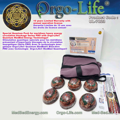 UL-7023  The meridians Modules – Orgo-Life® Quantum MedBed®