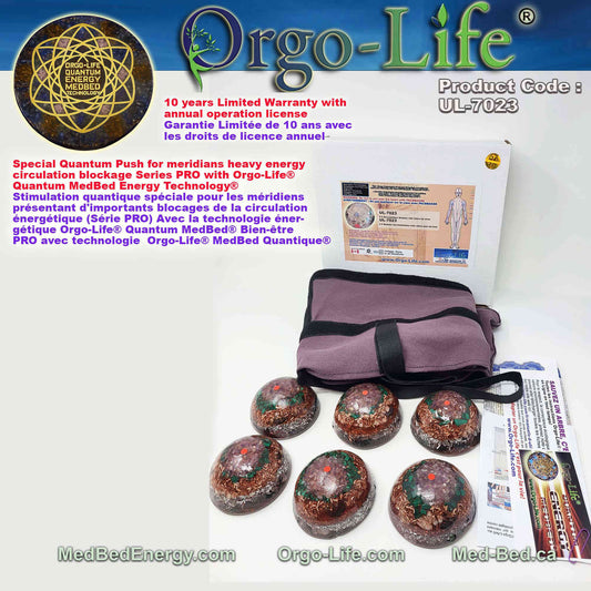 UL-7023  The meridians Modules – Orgo-Life® Quantum MedBed®