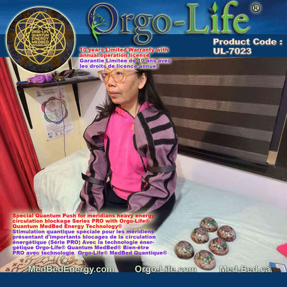 UL-7023  The meridians Modules – Orgo-Life® Quantum MedBed®