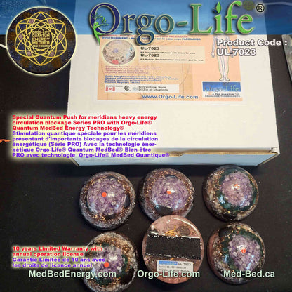 UL-7023  The meridians Modules – Orgo-Life® Quantum MedBed®