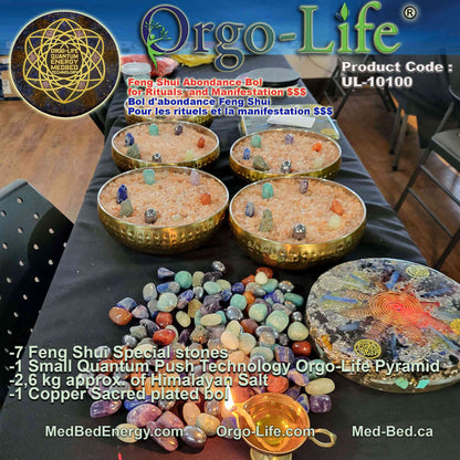 UL-10100 – Orgo-Life® Feng Shui Abundance Bowl
