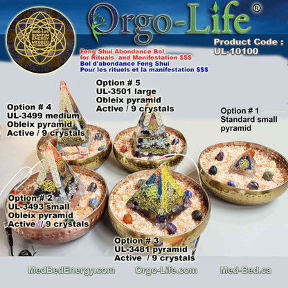 UL-10100 – Orgo-Life® Feng Shui Abundance Bowl
