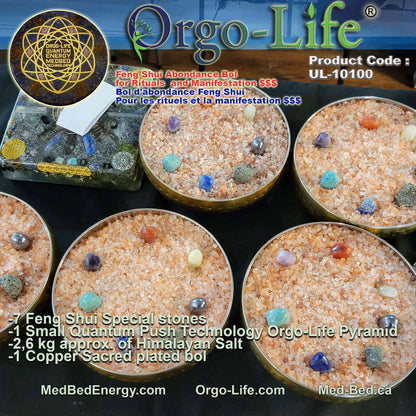 UL-10100 – Orgo-Life® Feng Shui Abundance Bowl