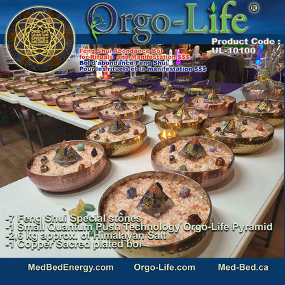 UL-10100 – Orgo-Life® Feng Shui Abundance Bowl