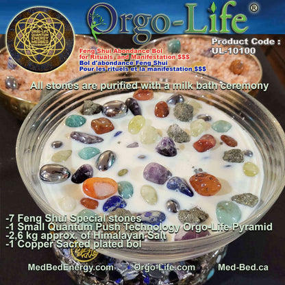 UL-10100 – Orgo-Life® Feng Shui Abundance Bowl