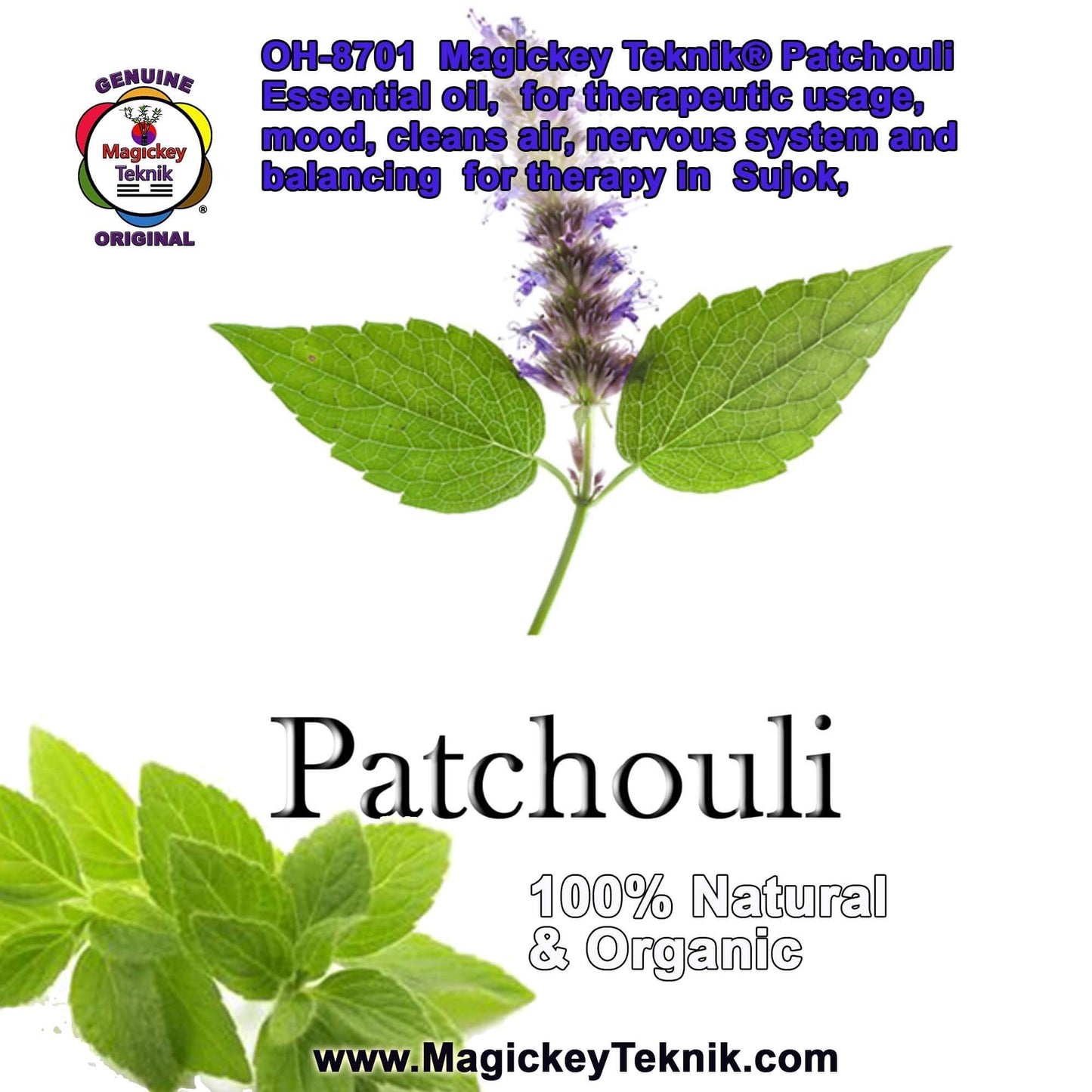 OH-8701 – Patchouli Essential Oil Magickey Teknik®