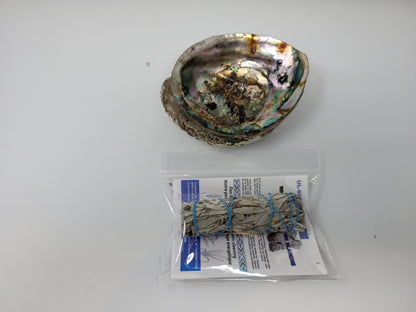 UL-6010-A – Natural Abalone Shell 4 to 5 inches (No Stand) – Orgo-Life®