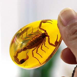 UL-8225 Orgo-Life® Collier Pendentif en Résine Style Ambre avec Inclusion d'Insecte