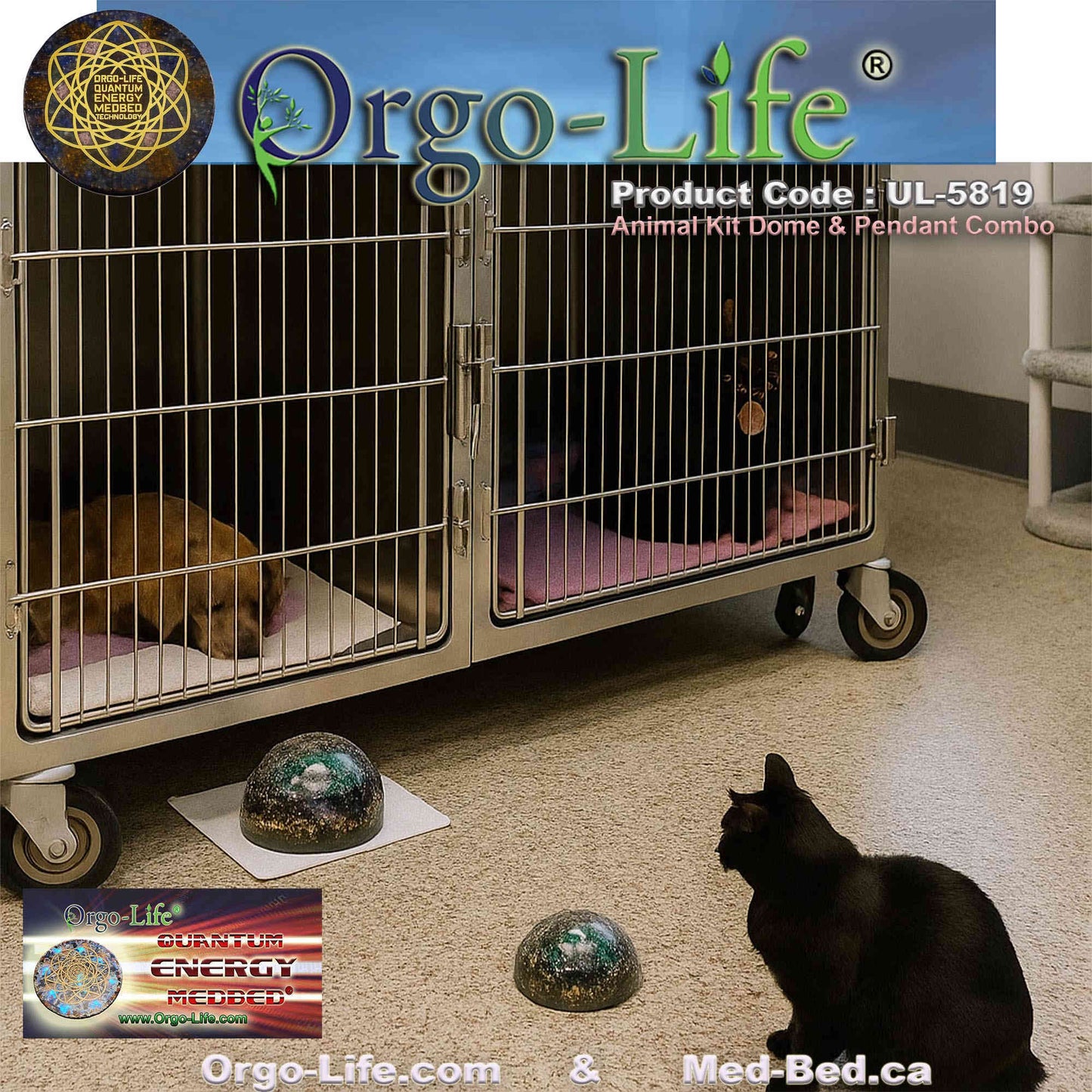 UL-5819  Large Dome Module for Pets  (Cats & Dogs) VERY LARGE  /   Module  grand dôme pour animaux de compagnie (chats et chiens) TRÈS GRAND