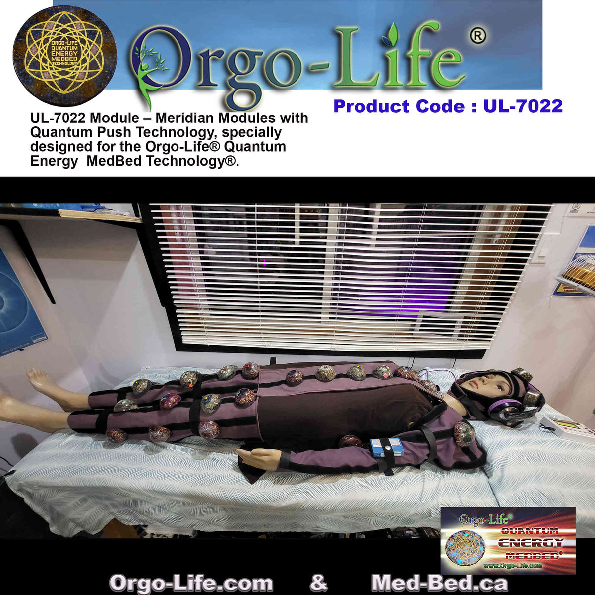 UL-7022 / UL-7022-A Quantum Energy Module Kit – Meridian & PEMF