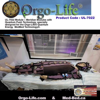 UL-7022 / UL-7022-A Quantum Energy Module Kit – Meridian & PEMF
