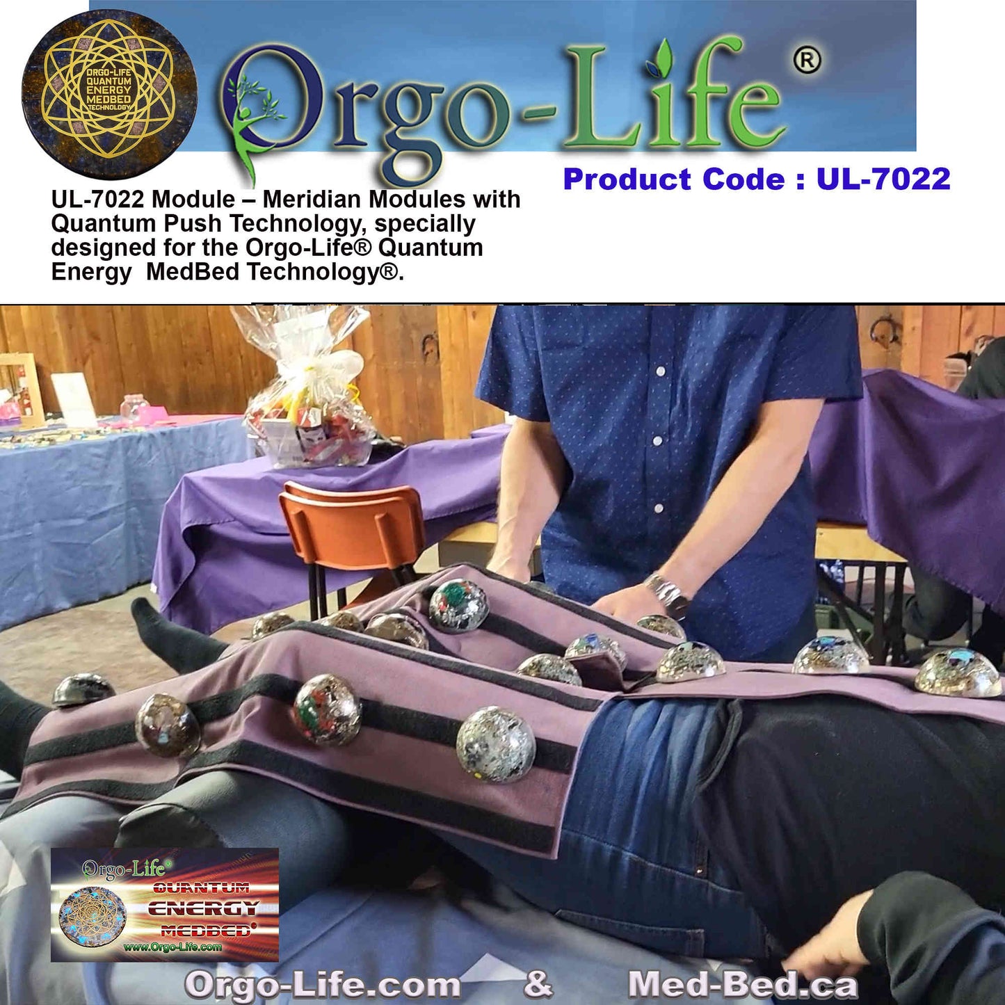 UL-7022 / UL-7022-A Quantum Energy Module Kit – Meridian & PEMF