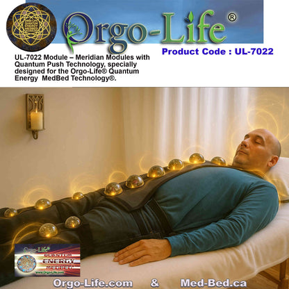 UL-7022 / UL-7022-A Quantum Energy Module Kit – Meridian & PEMF