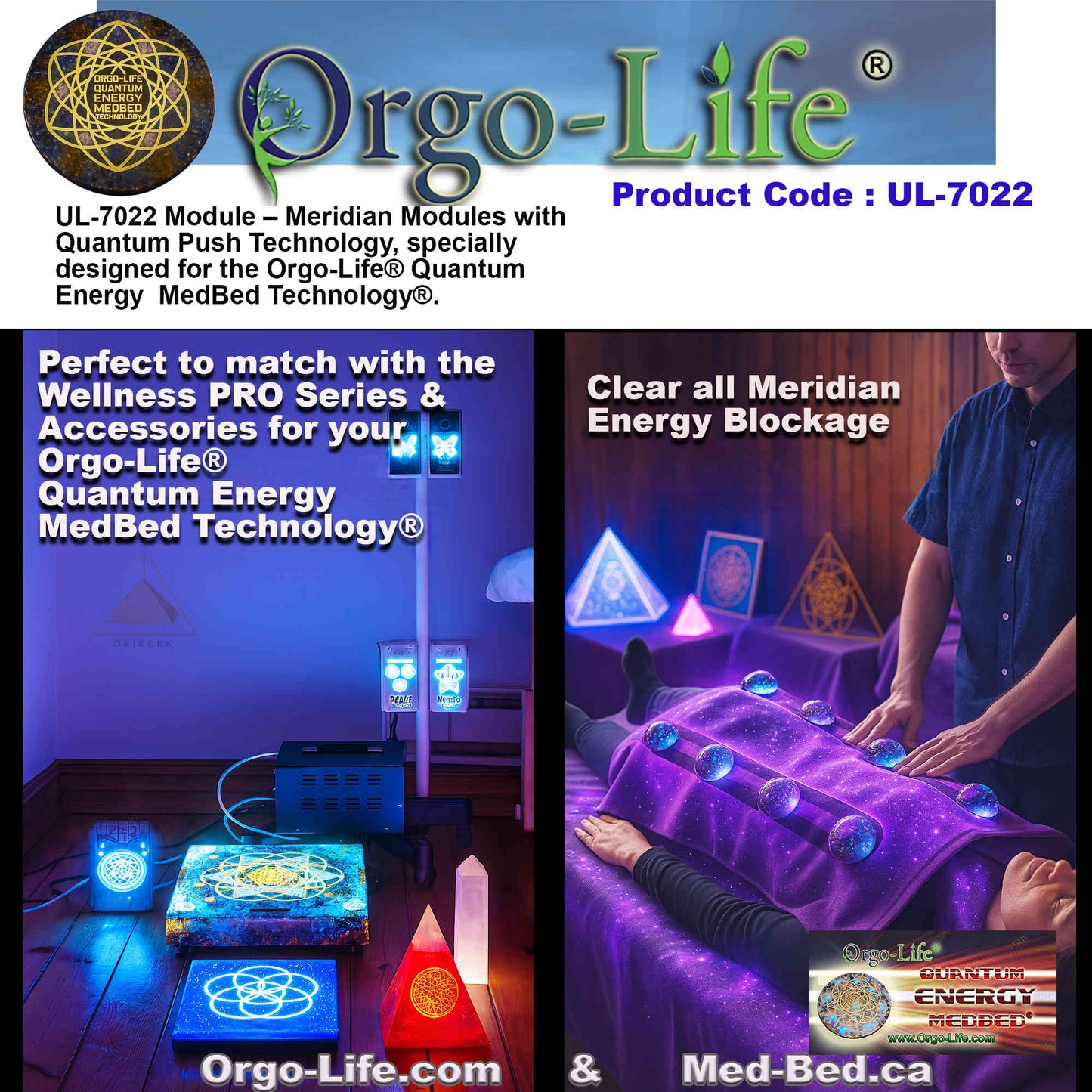 UL-7022 / UL-7022-A Quantum Energy Module Kit – Meridian & PEMF