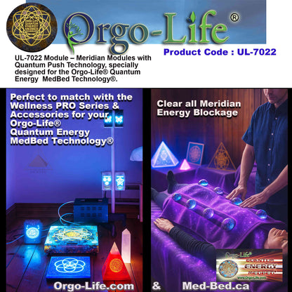 UL-7022 / UL-7022-A Quantum Energy Module Kit – Meridian & PEMF